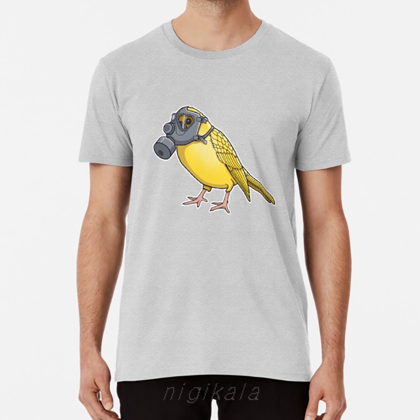 The Birds Aren't Singing T shi - Renewable Energy In China 评论和价格